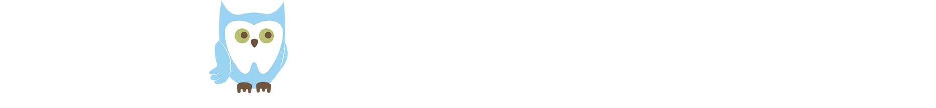 owl on cloud